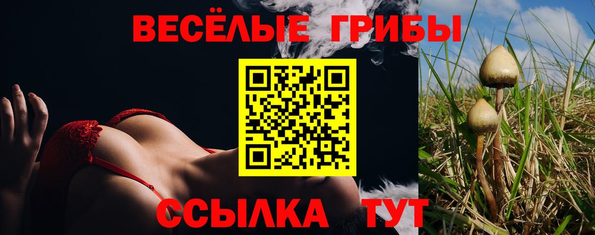 Чебаркуль  Галлюциногенные грибы мицелий  Вход с VPN  Псилоцибиновые грибы MAGIC MUSHROOMS 